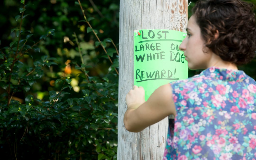 DON’T POST ON POLES