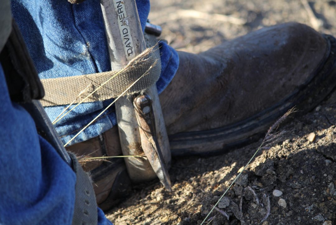 roots roll over boot
