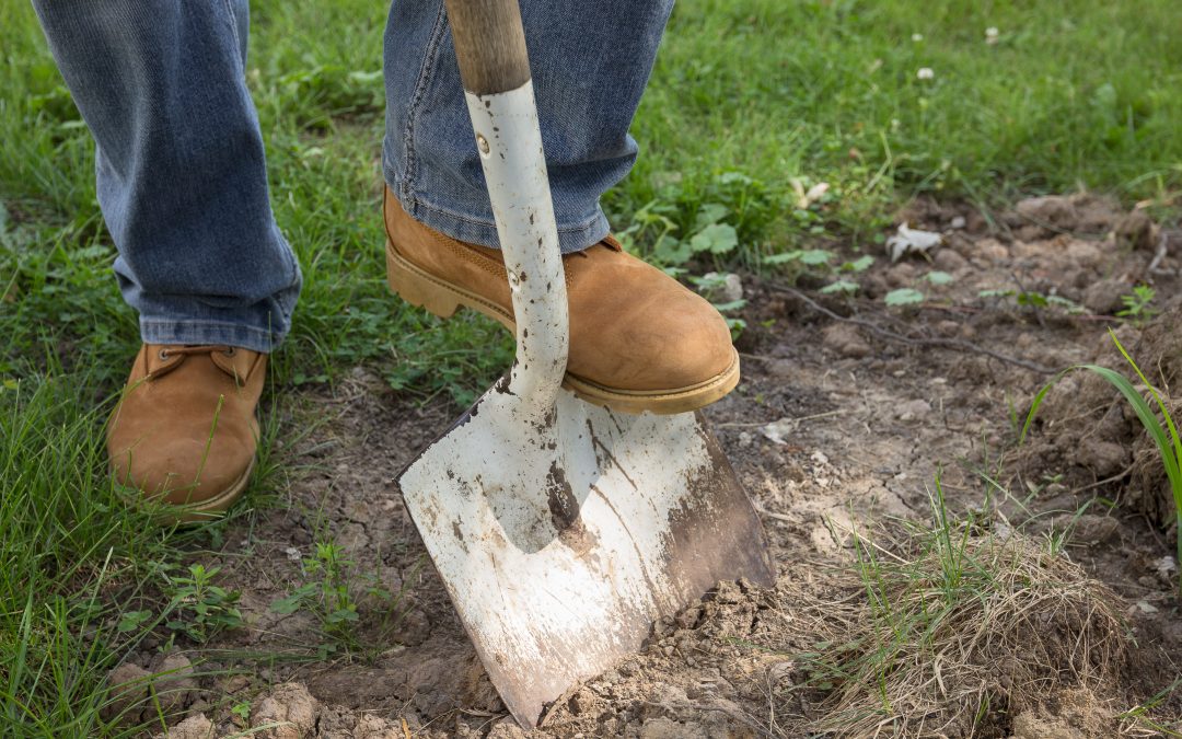 Call 811 Before You Dig: It’s Free