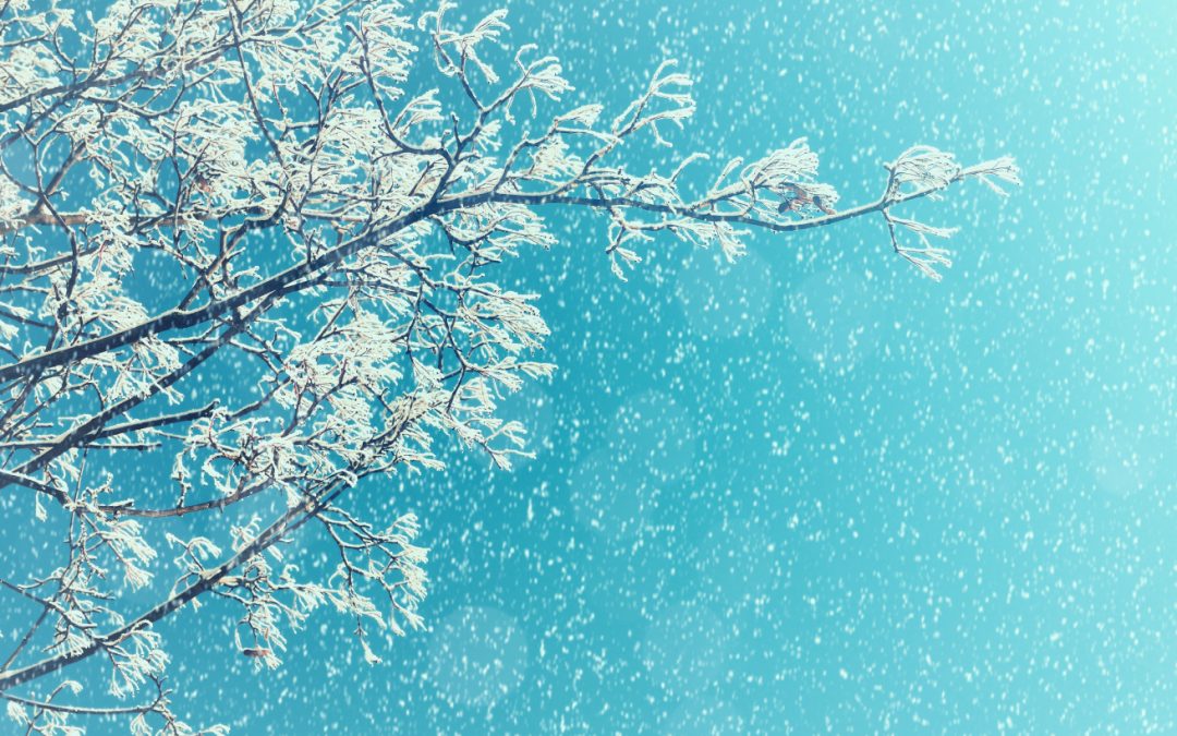 Are You Ready for the Cold? Five Tips in Preparing Your Home for Winter