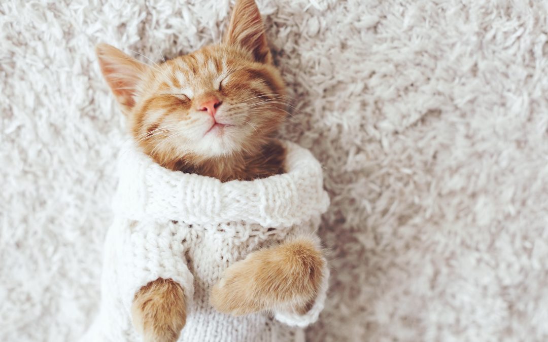 Staying Warm Without Cranking Up the Heat