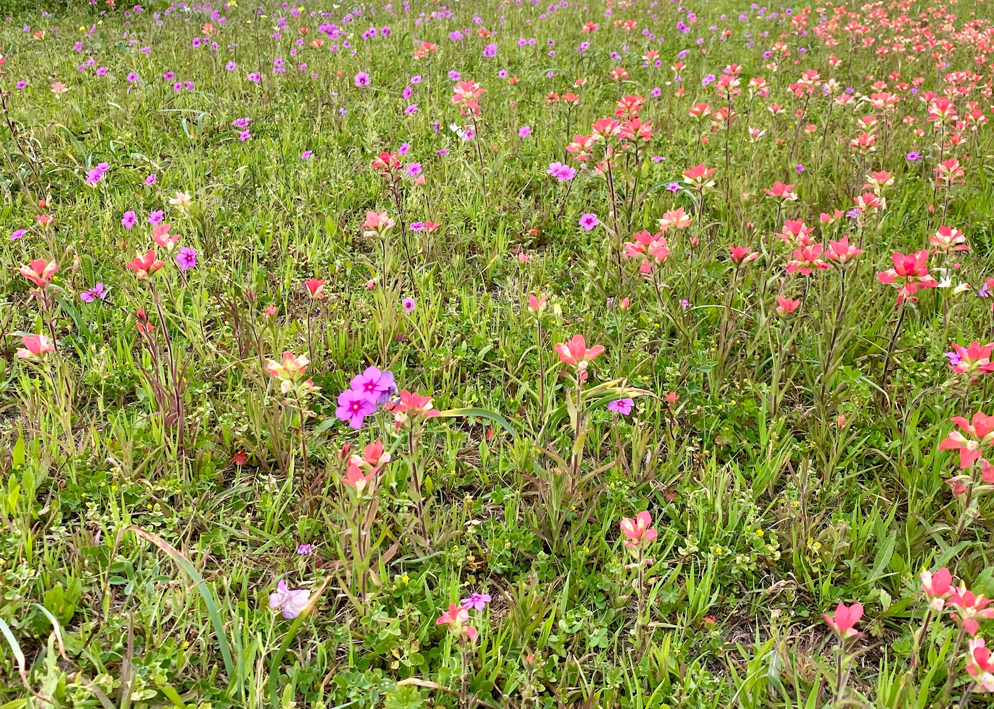 FM 725 off I-10 between McQueeny and New Braunfels