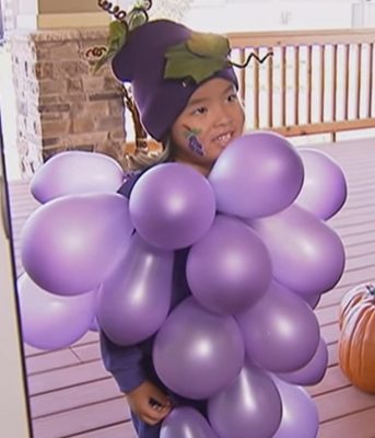 Picture of a little girl dressed in a purple grapes homemade Halloween Costume
