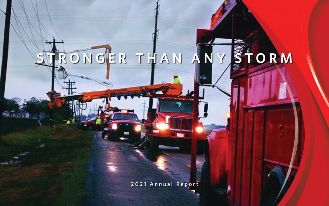 2021 Annual Report