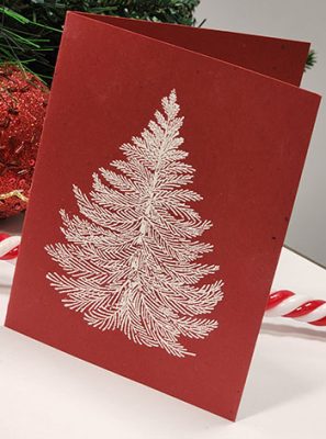 This simple, heat-embossed card is made with red card stock stamped with a tree pattern using white ink (clear ink also works). White embossing powder is layered over the ink and then heated with a heated-air crafting tool and allowed to cool.