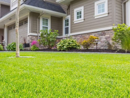 Residential Home in Cuero, TX