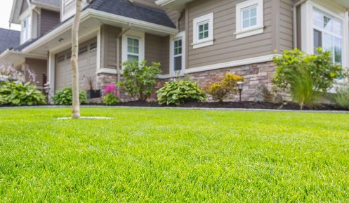 Residential Home in Cuero, TX