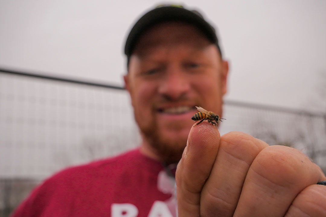 Image of Charlie Agar with a single bee held on left thumb tip held up before the camera, Charlie Bee Company