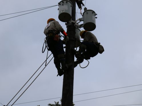 Two GVEC linemen at the top of a pole, competing at the Texas Lineman's Rodeo