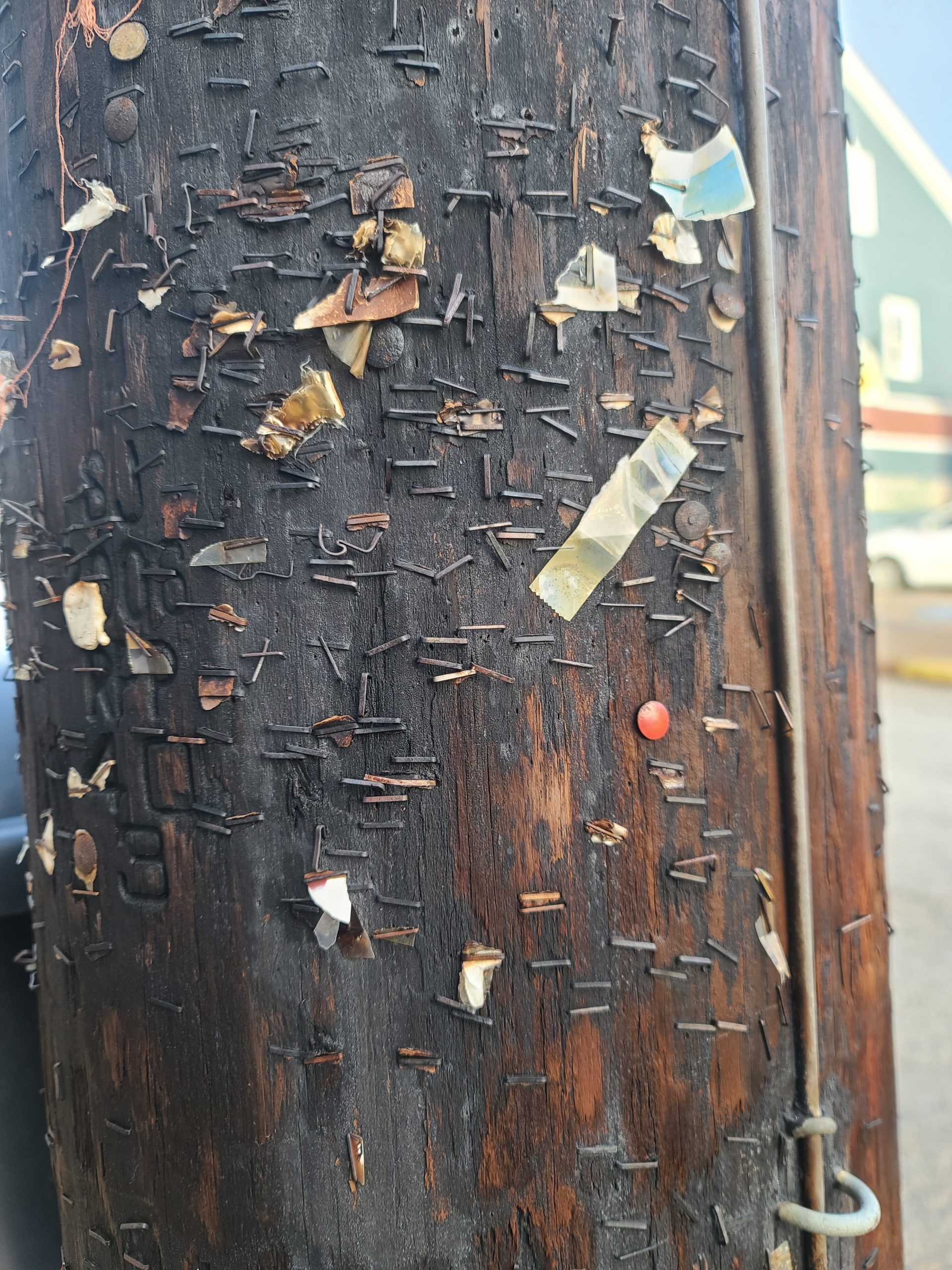 staples, tacks and nails left over from remnants of posting signs and flyers on an electrical pole, posing danger to lineworkers