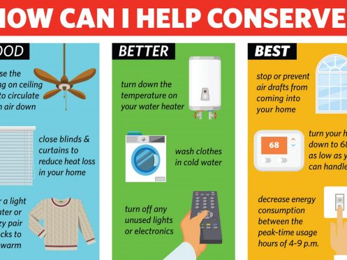 How can I help conserve?